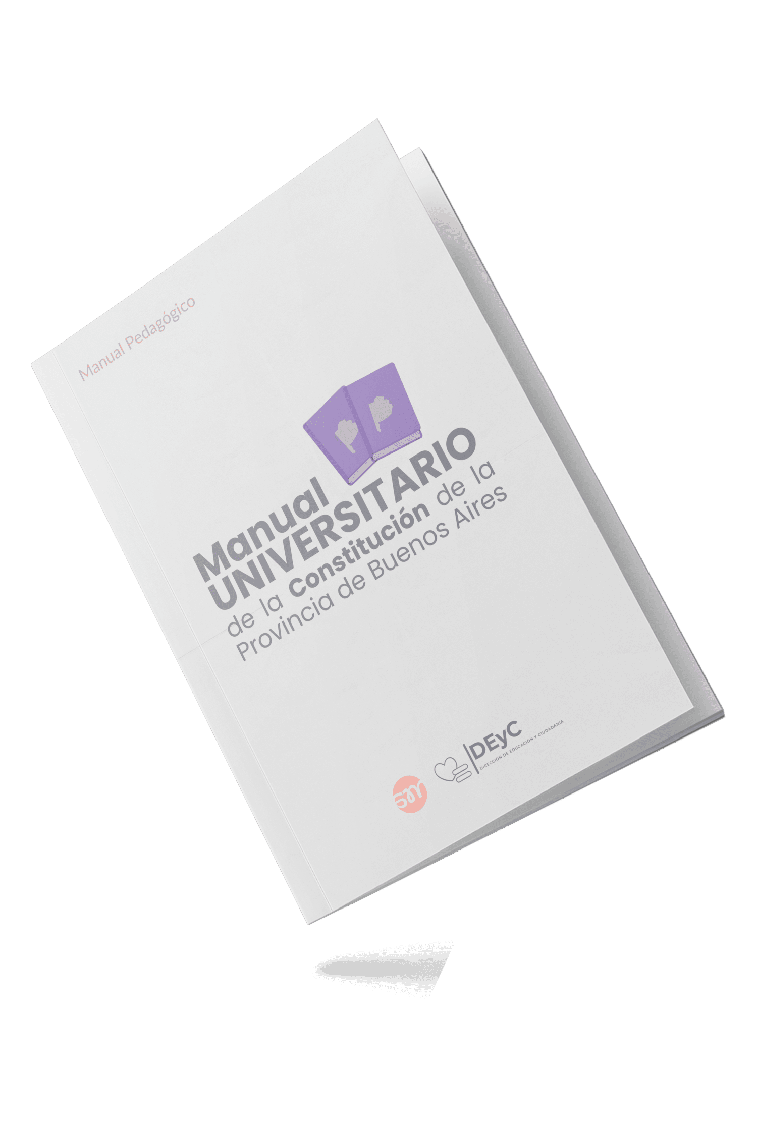 Manual Universitario