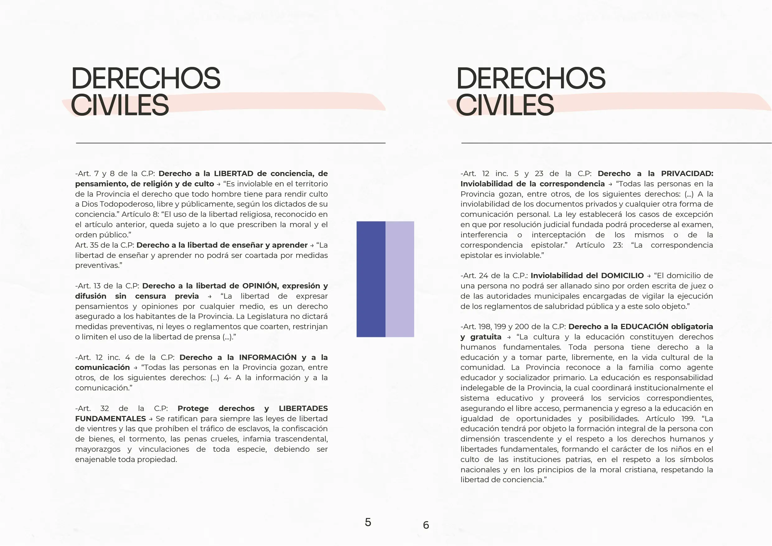 Manual Derechos Bonaerenses