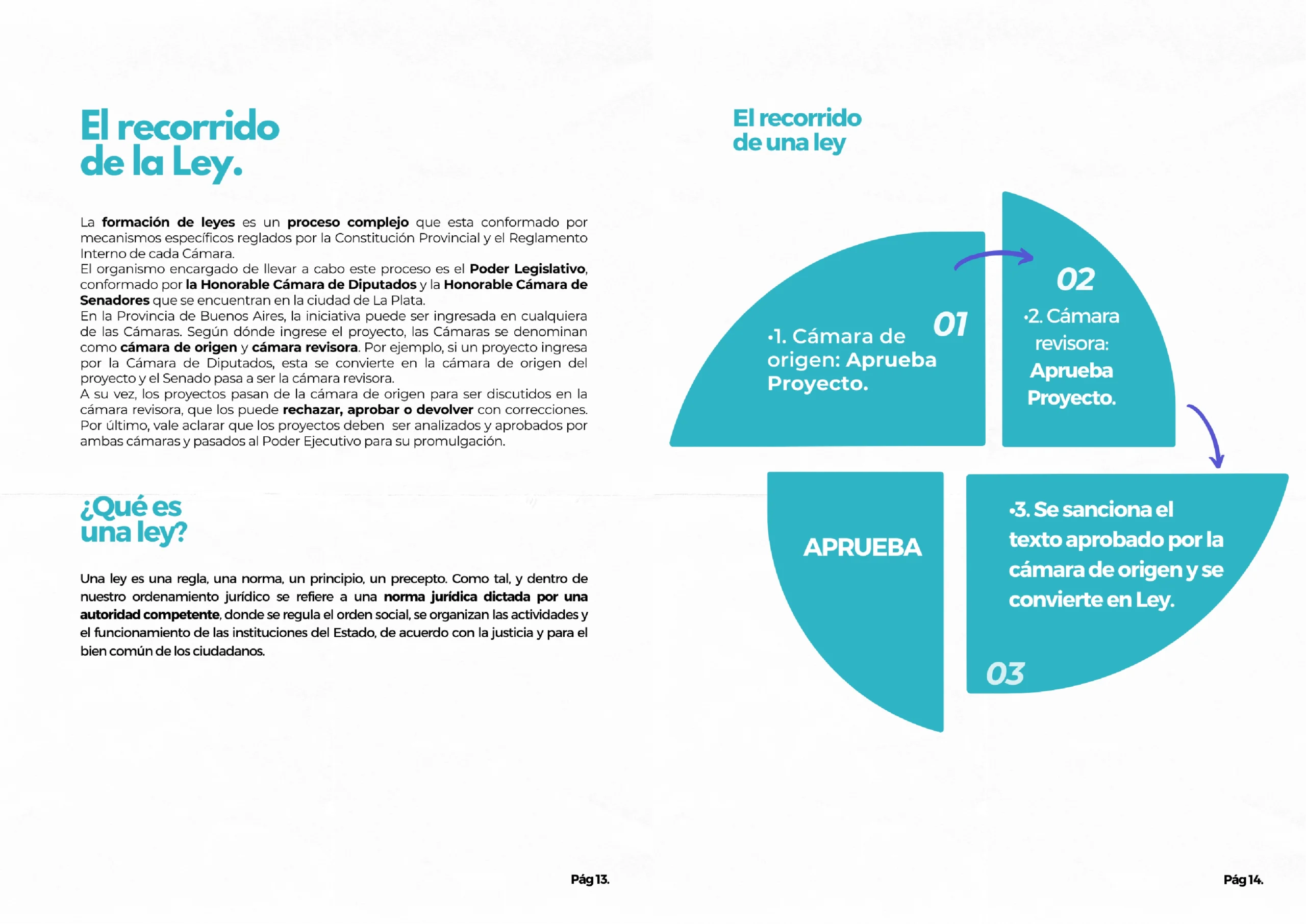 Manual. El funcionamiento de la Cámara de Diputados