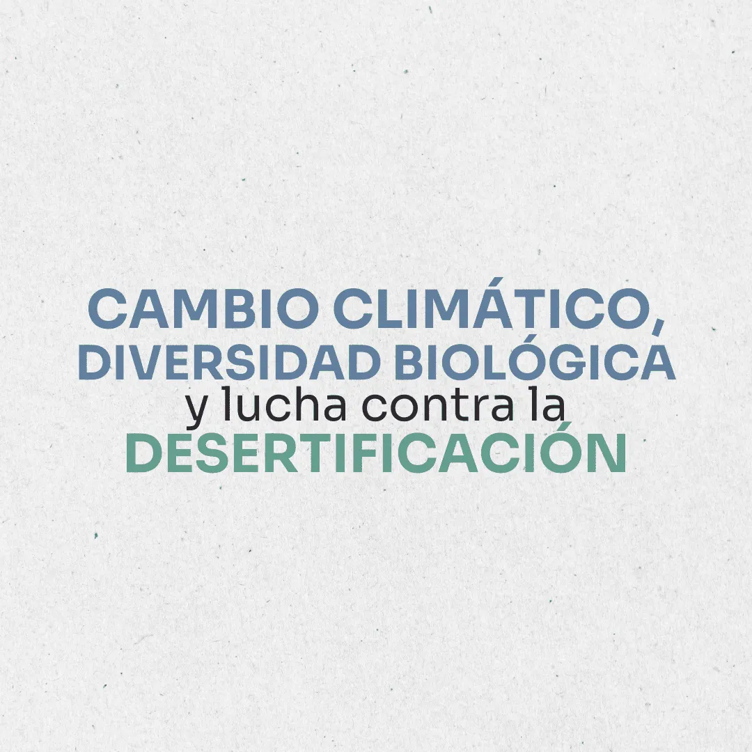 Ambiente. Cambio climático, diversidad biológica y lucha contra la desertificación