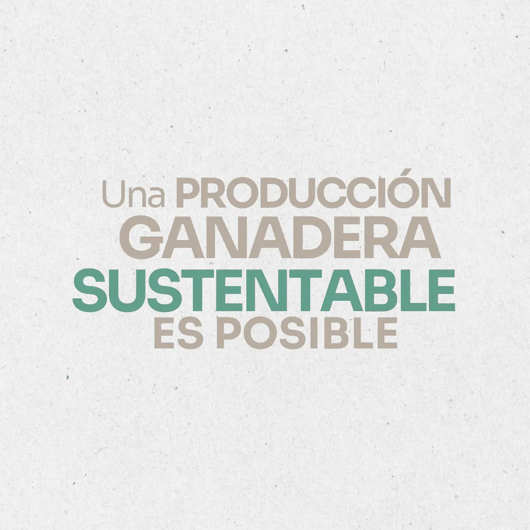 Ambiente. Una producción ganadera sustentable es posible