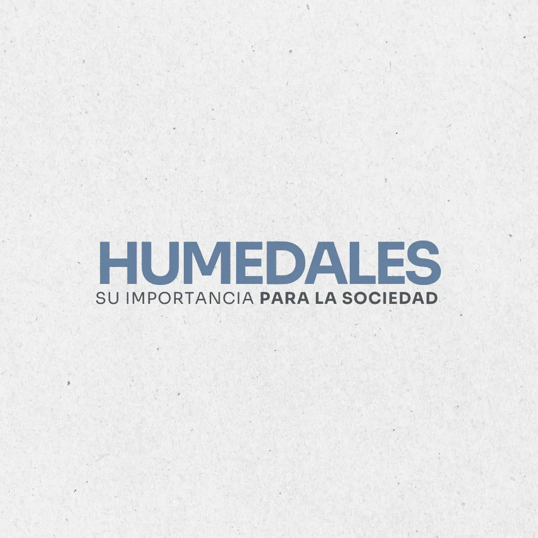 Ambiente. Humedales. Su importancia para la sociedad