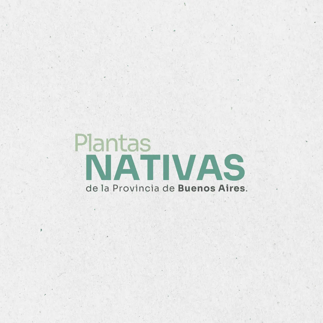 Ambiente. Plantas nativas de la Provincia de Buenos Aires