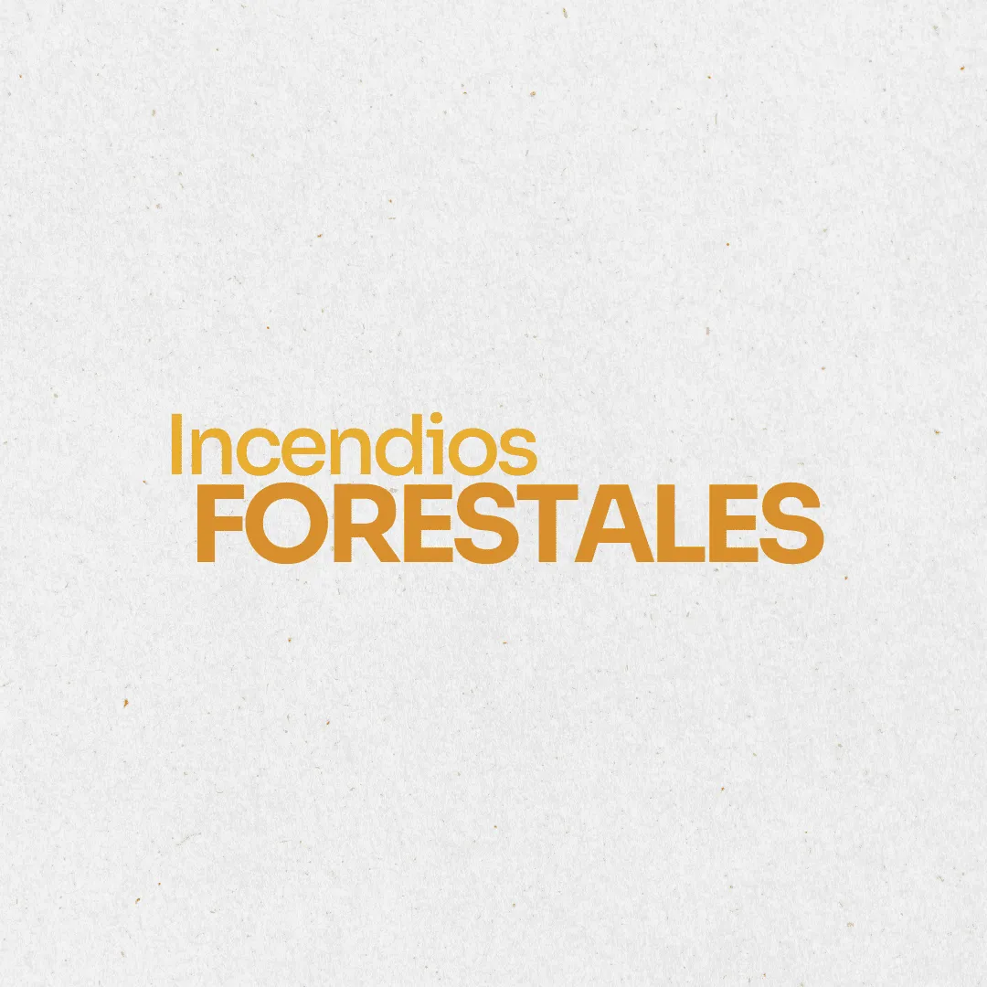 Ambiente. Incendios forestales