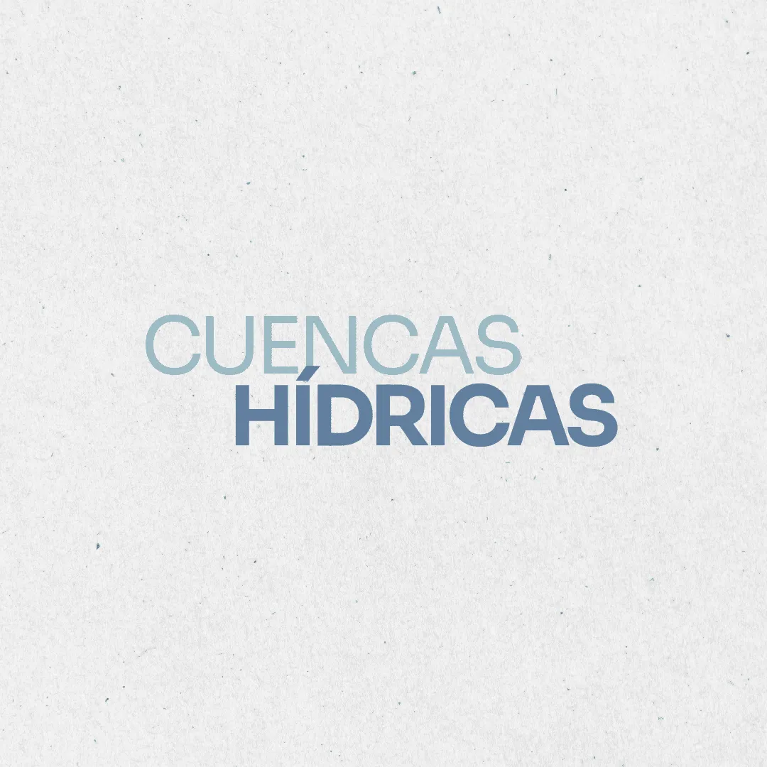 Ambiente. Cuencas hídricas