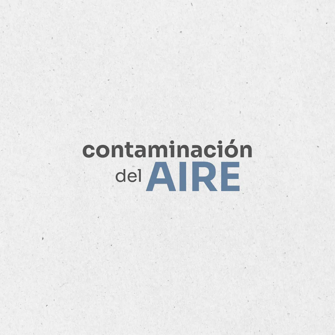 Ambiente. Contaminación del aire