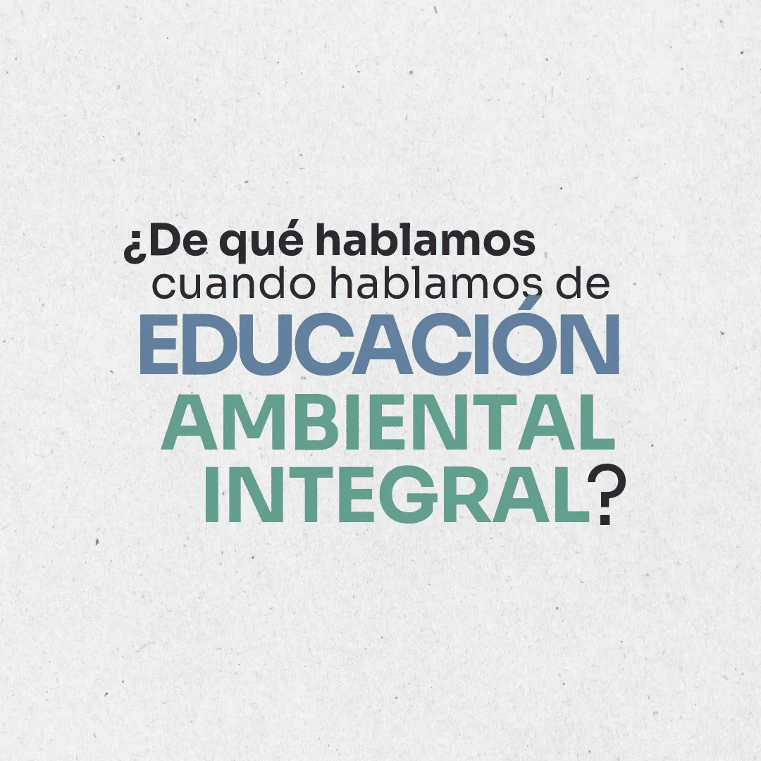 Ambiente. ¿De qué hablamos cuando hablamos de Educación ambiental integral?