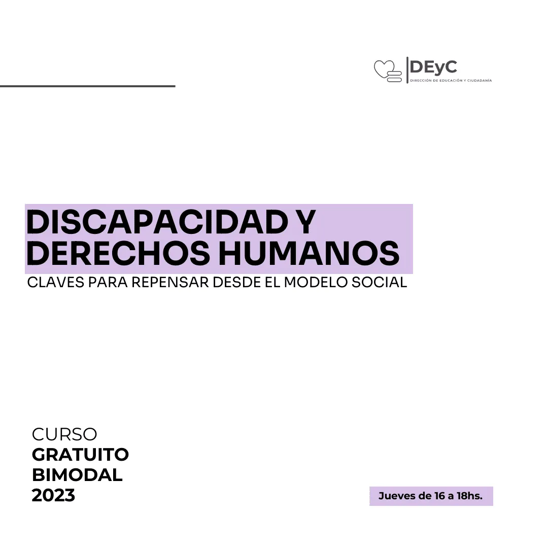 Curso: Discapacidad y derechos humanos