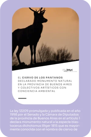 Publicación: El ciervo de los pantanos declarado monumento natural en la provincia de Buenos Aires y colectivos artísticos con conciencia ambiental