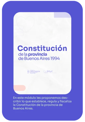 Manual Constitución de la provincia de Buenos Aires 1994