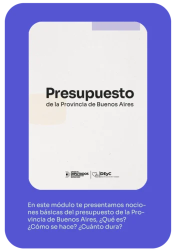 Manual Presupuesto de la Provincia de Buenos Aires